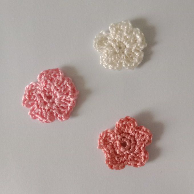 Fleurs du Jardin